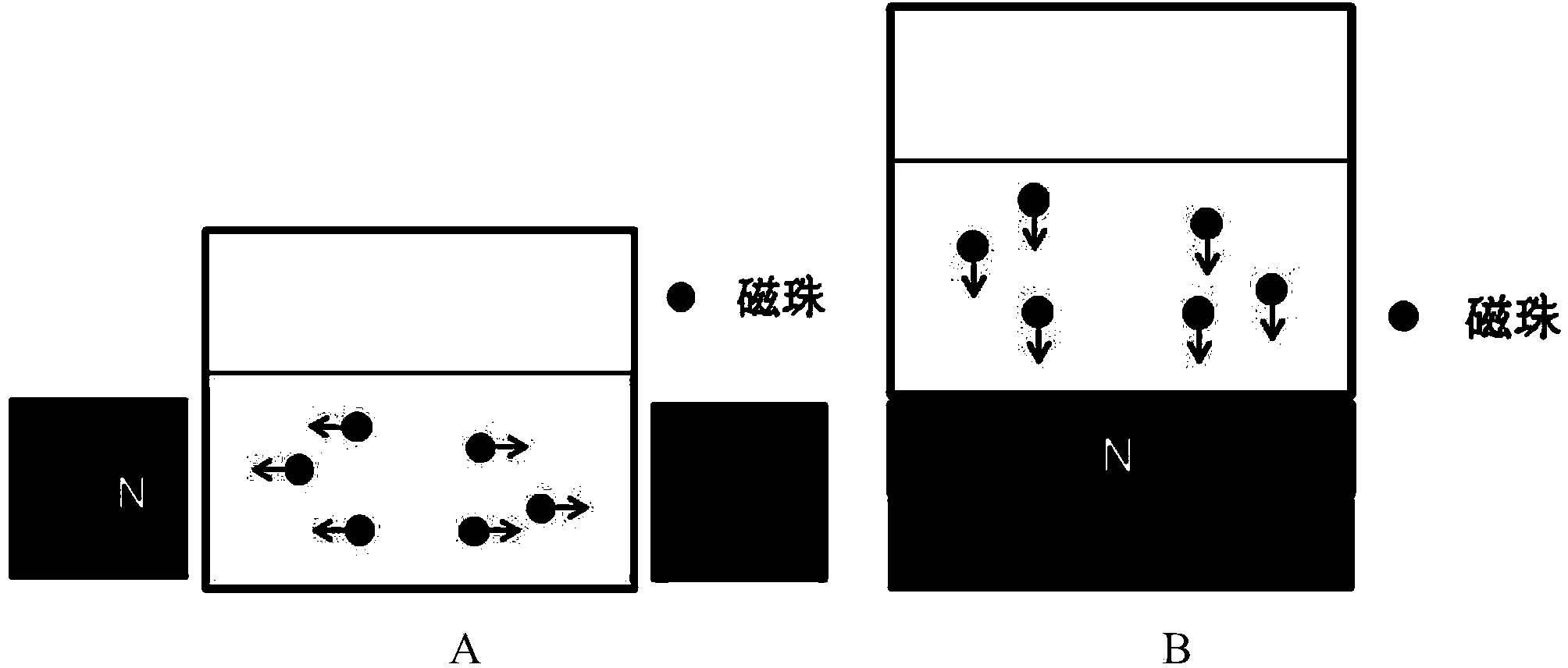 Method for purifying antibody by using high-density protein A coated magnetic beads