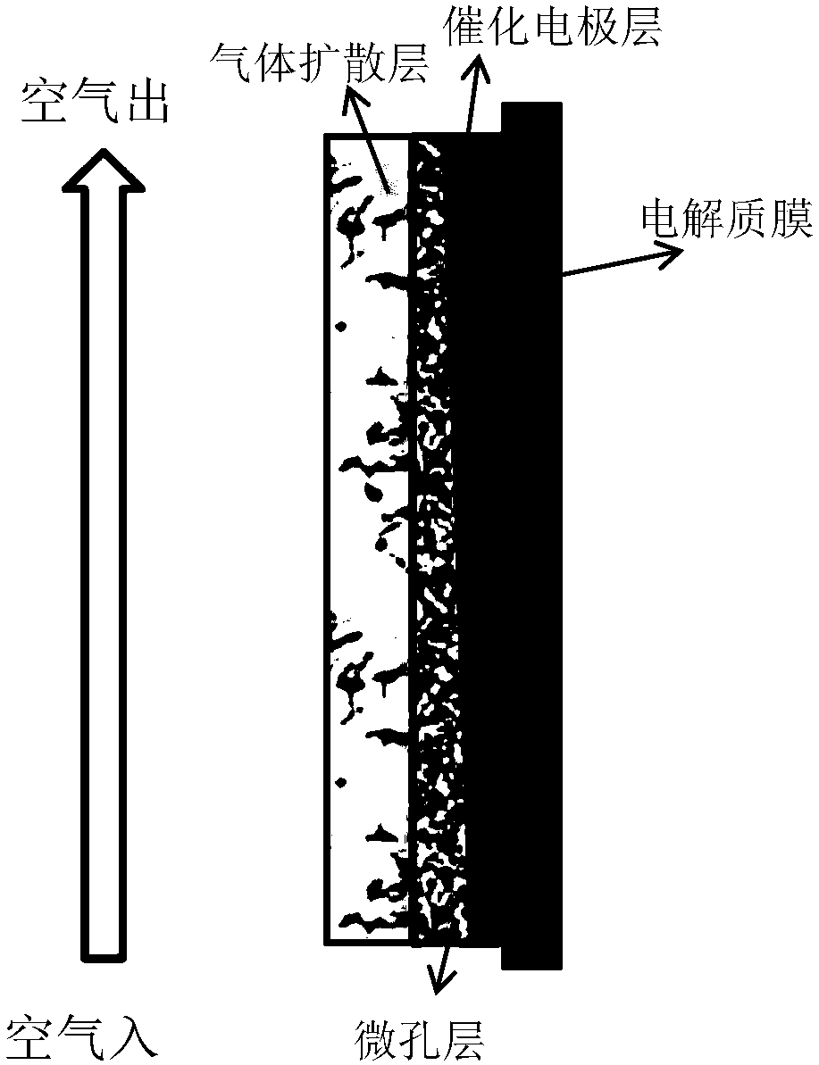 Membrane electrode assembly of fuel cell and production method of membrane electrode assembly