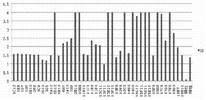 Hybridoma cell strain 17C8 and monoclonal antibody generated therefrom used in Brucella detection