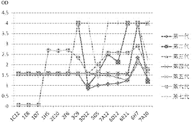 Hybridoma cell strain 17C8 and monoclonal antibody generated therefrom used in Brucella detection