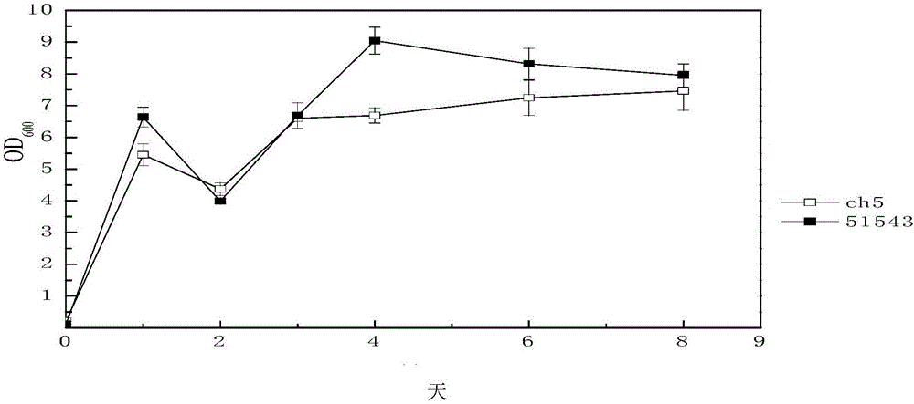 Clostridium beijerinckii for producing butanol with xylose and application