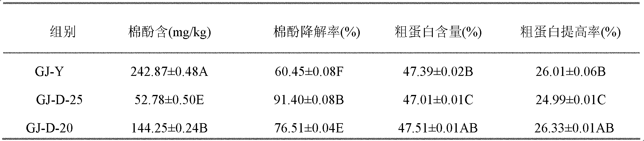 Gossypol degrading strain and application thereof