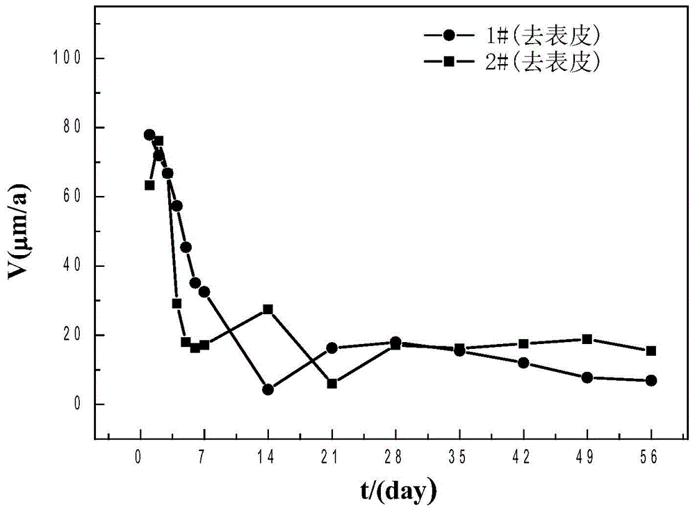 Experimental device and testing method for rapidly determining corrosion rate of reinforcing steel bars