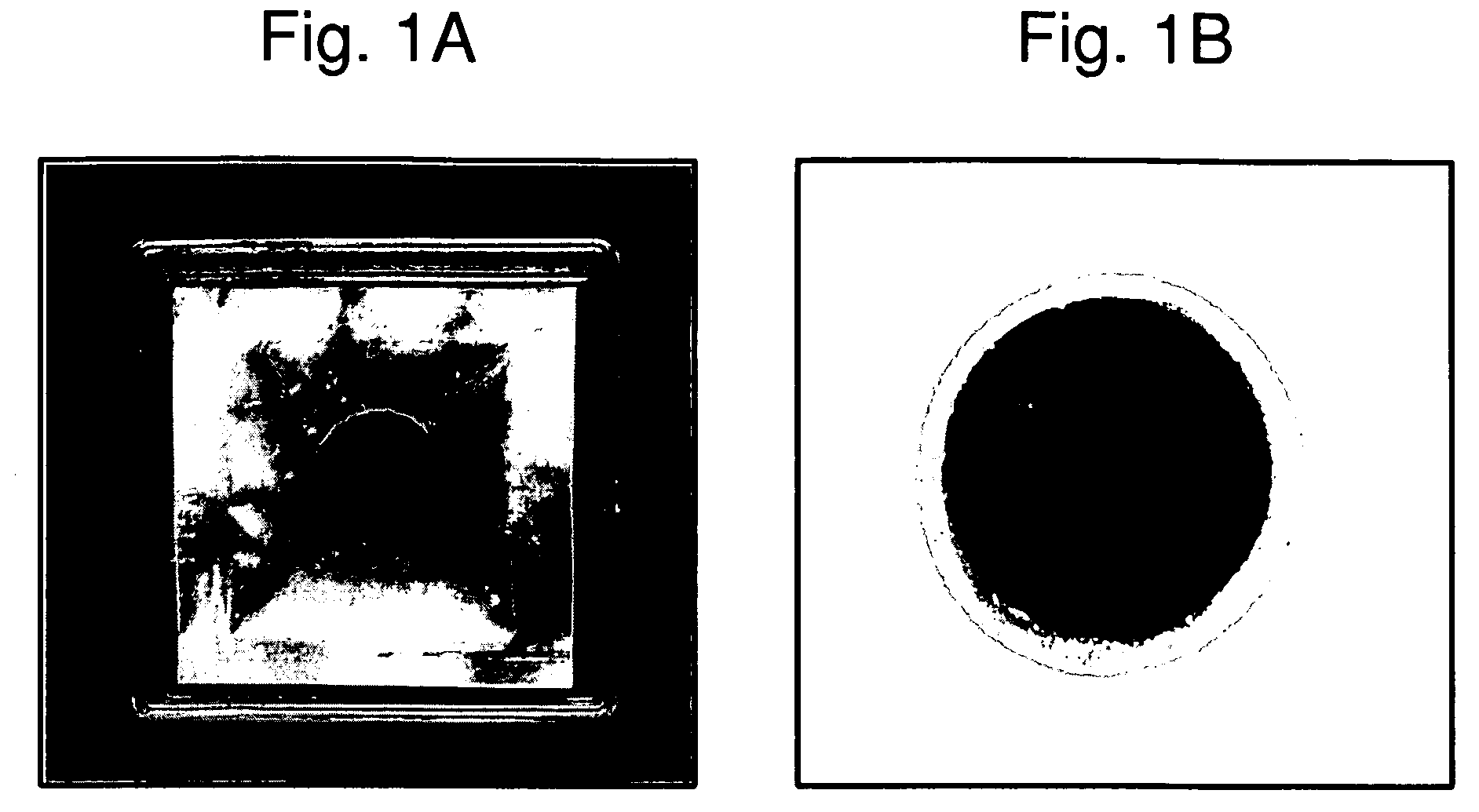 Three-dimensional tissue equivalent using macromass culture