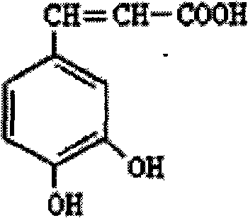 Caffeic acid composition and preparation method thereof