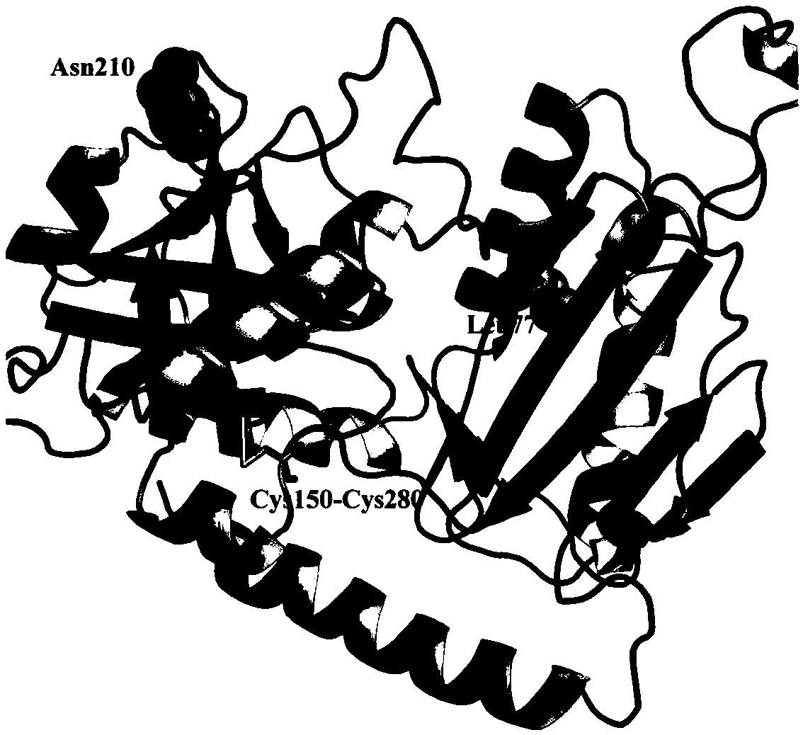 Omega-transaminase mutant and application thereof