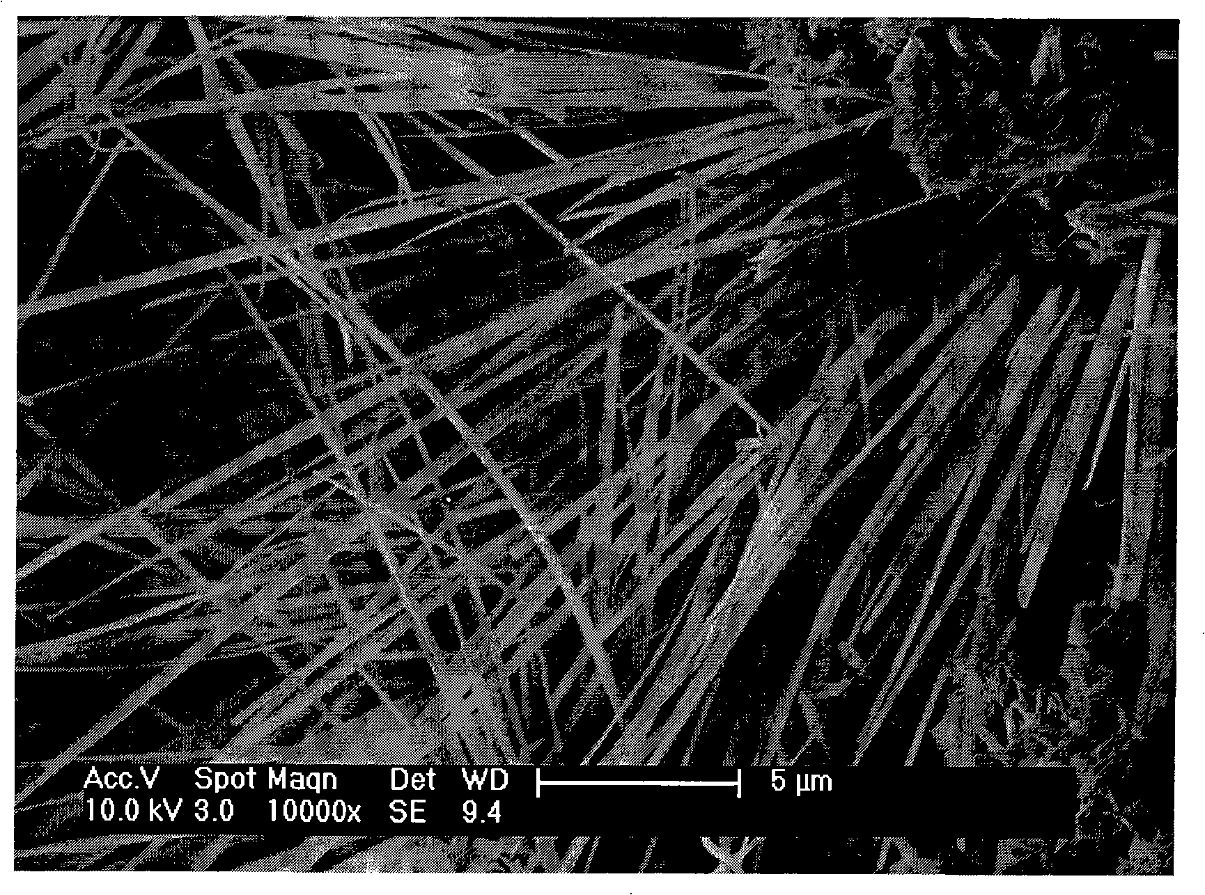 CuO straw-shaped nano structure and preparation method thereof