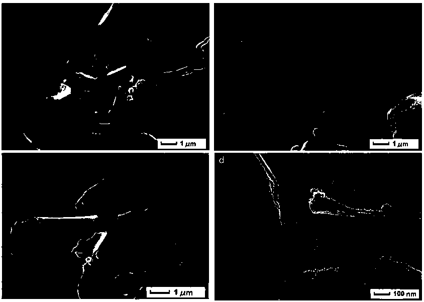 Janus magnetic imprinted nanosheet, preparation method and application thereof