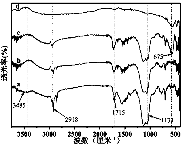 Janus magnetic imprinted nanosheet, preparation method and application thereof