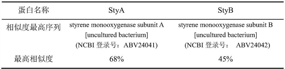 Styrene cyclooxygenase derived from rhizobium, and function of styrene cyclooxygenase