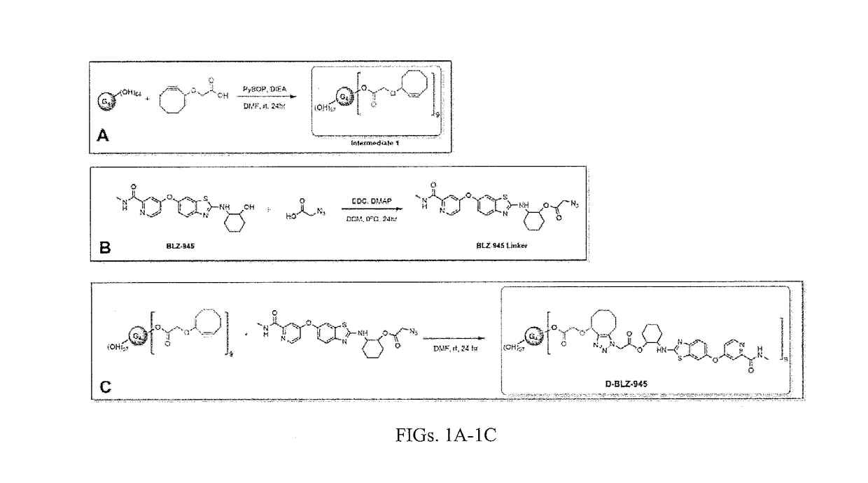 Selective dendrimer delivery to brain tumors