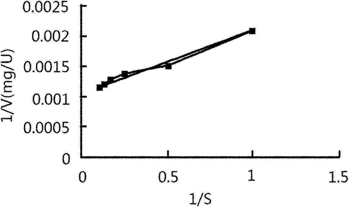 Bacterial strain for producing beta-mannanase and production process of bacterial strain