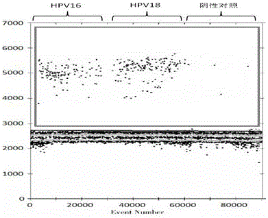 Method of detecting human papilloma virus 16/18 type gene in urine by using digital PCR (polymerase chain reaction)