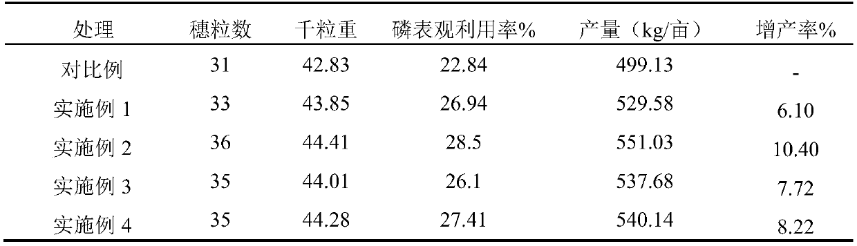 Special synergistic compound fertilizer for wheat and preparation method thereof