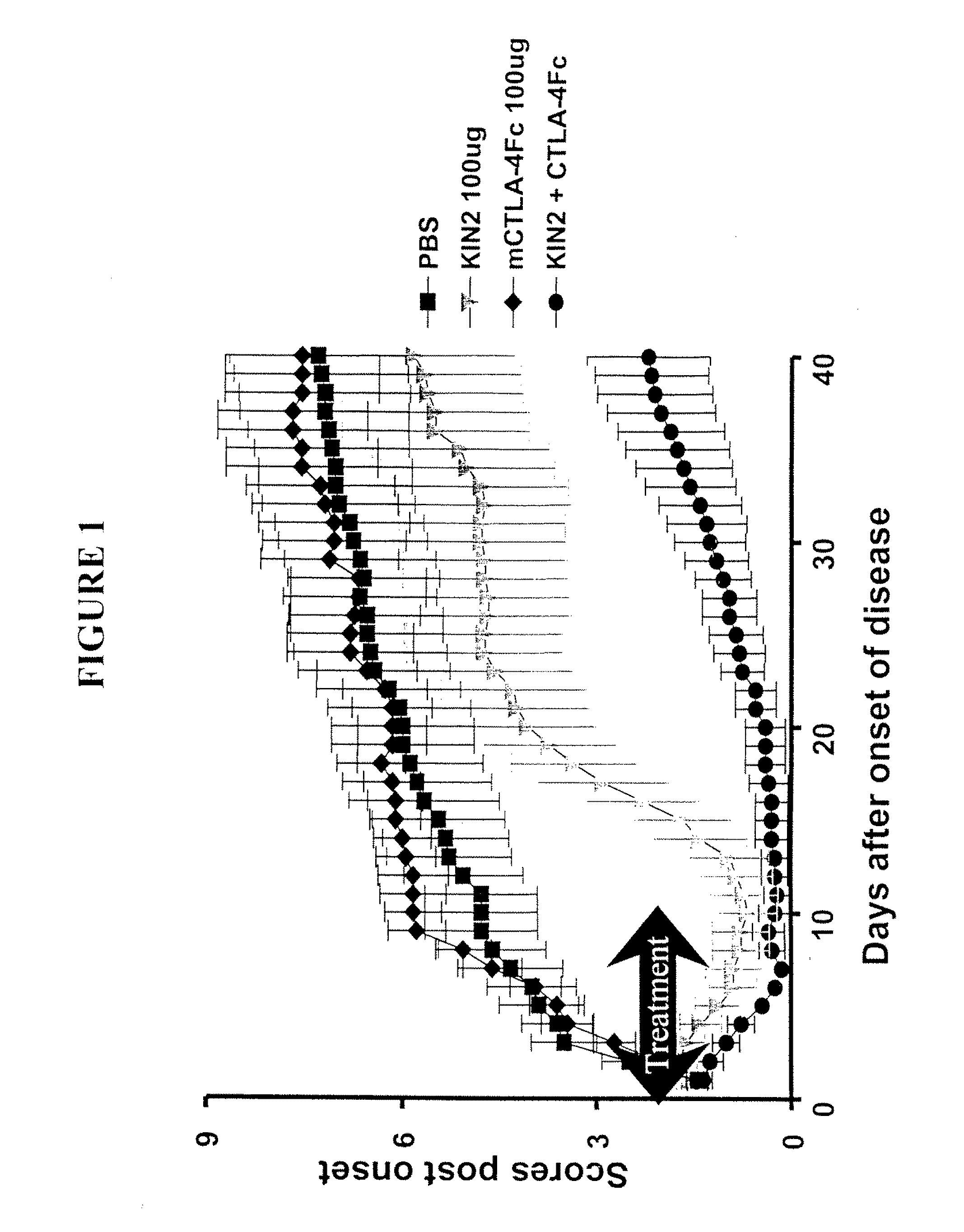 Combination therapy with co-stimulatory factors