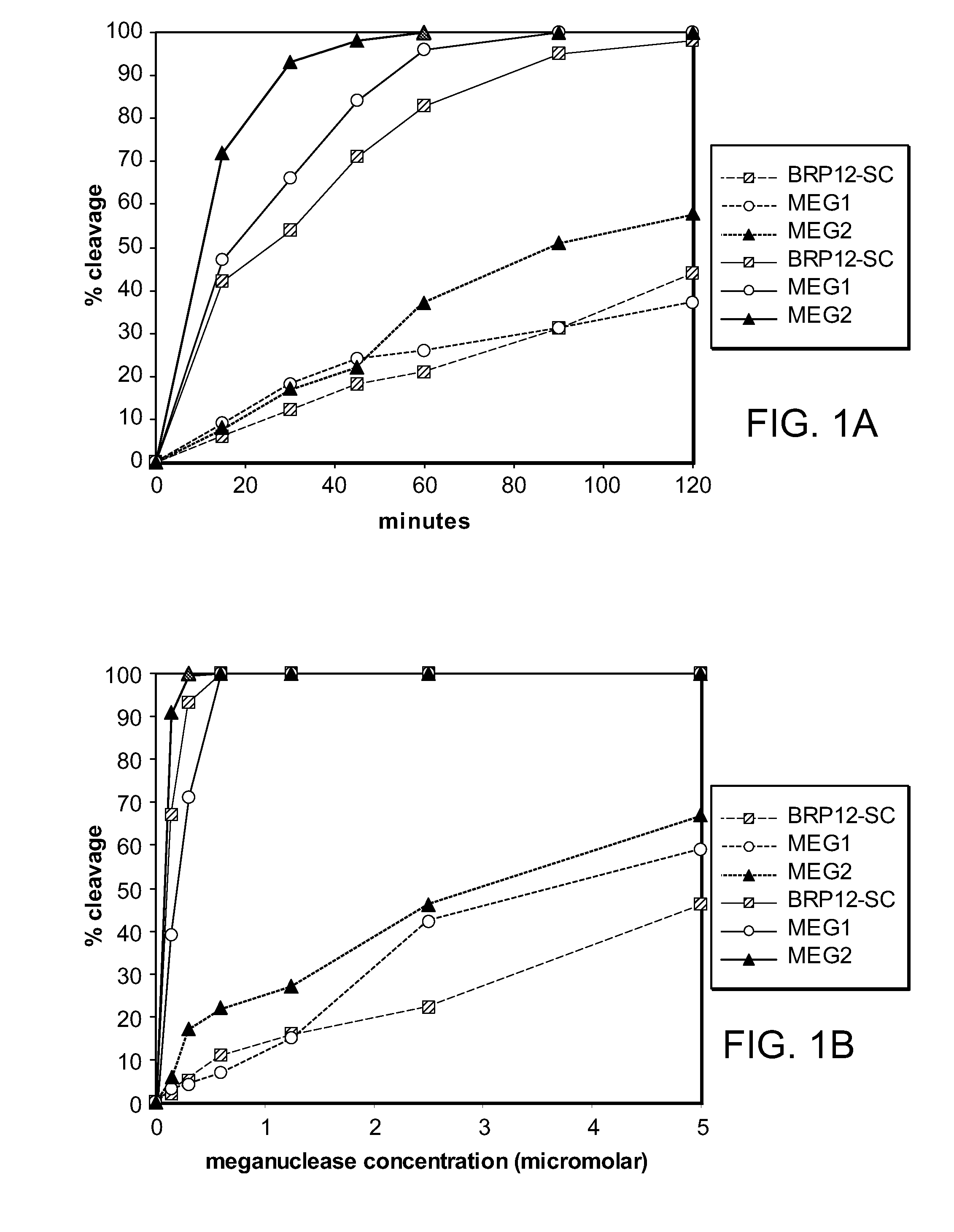 Temperature-dependent meganuclease activity