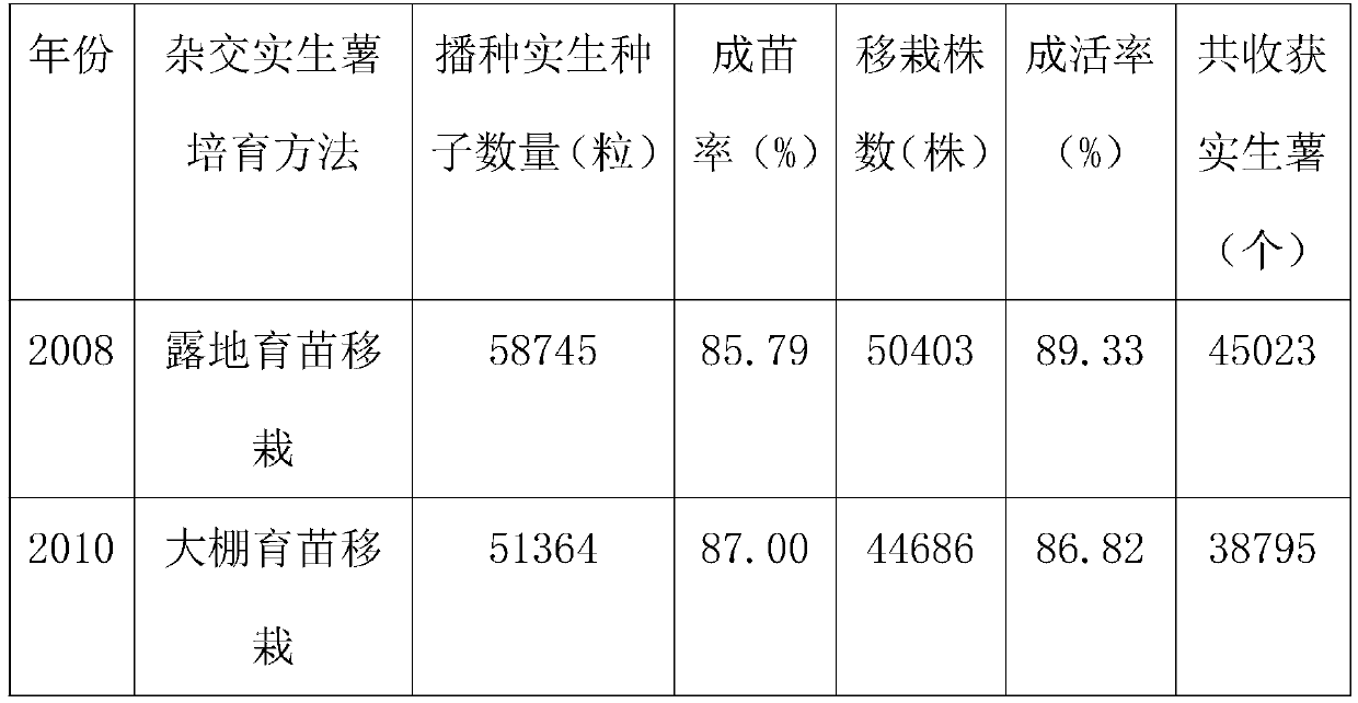 Potato hybrid seedling seed bean coating direct seeding method