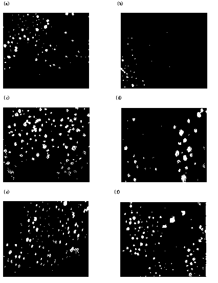 Synthesis method and application of chitosan oligosaccharide/indometacin graft