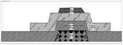 Organic light emitting display device and preparation method thereof