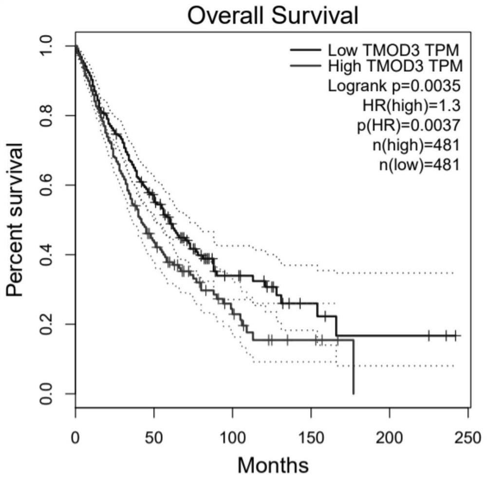 Application of TMOD3 and/or ADSL in non-small cell carcinoma