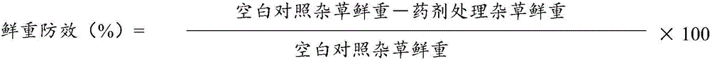 Wheat field weeding composition and application thereof