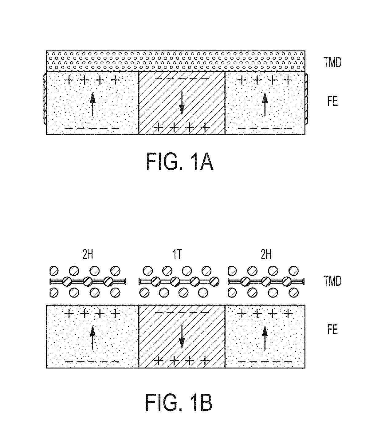 Controlling structural phase transitions and properties of two-dimensional materials by integrating with multiferroic layers