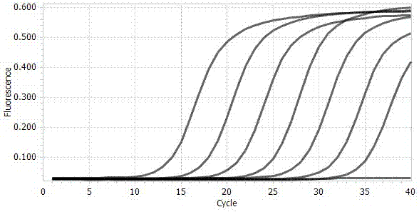 Primer, kit and quantitative detection method for detecting rot valsa mali miyabe et yamada/valsa mali var.dyri