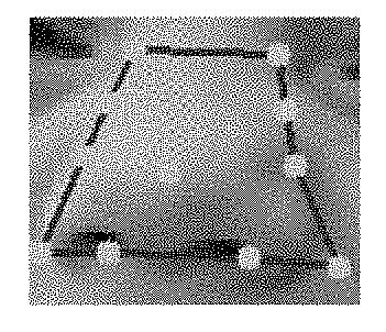 Photo-taking prompting method and apparatus, an apparatus and non-volatile computer storage medium