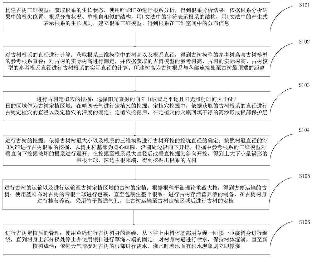 Hundred-year ancient tree transplanting method