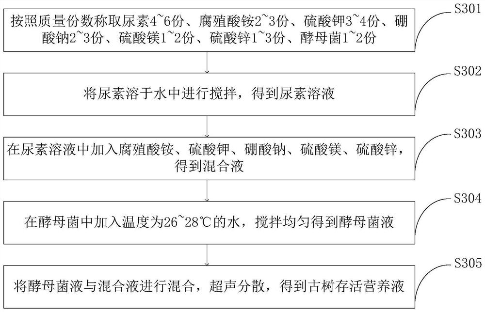 Hundred-year ancient tree transplanting method