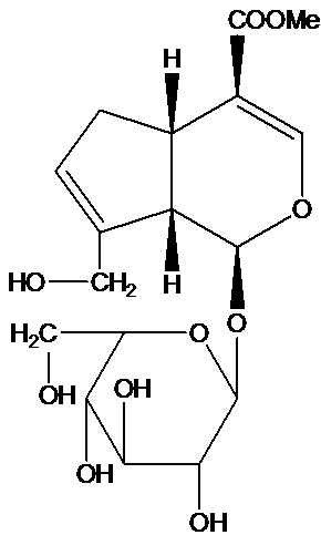 Application of geniposide used as acetylcholin esterase inhibitor