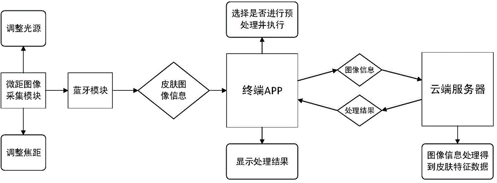 Skin detection system and method