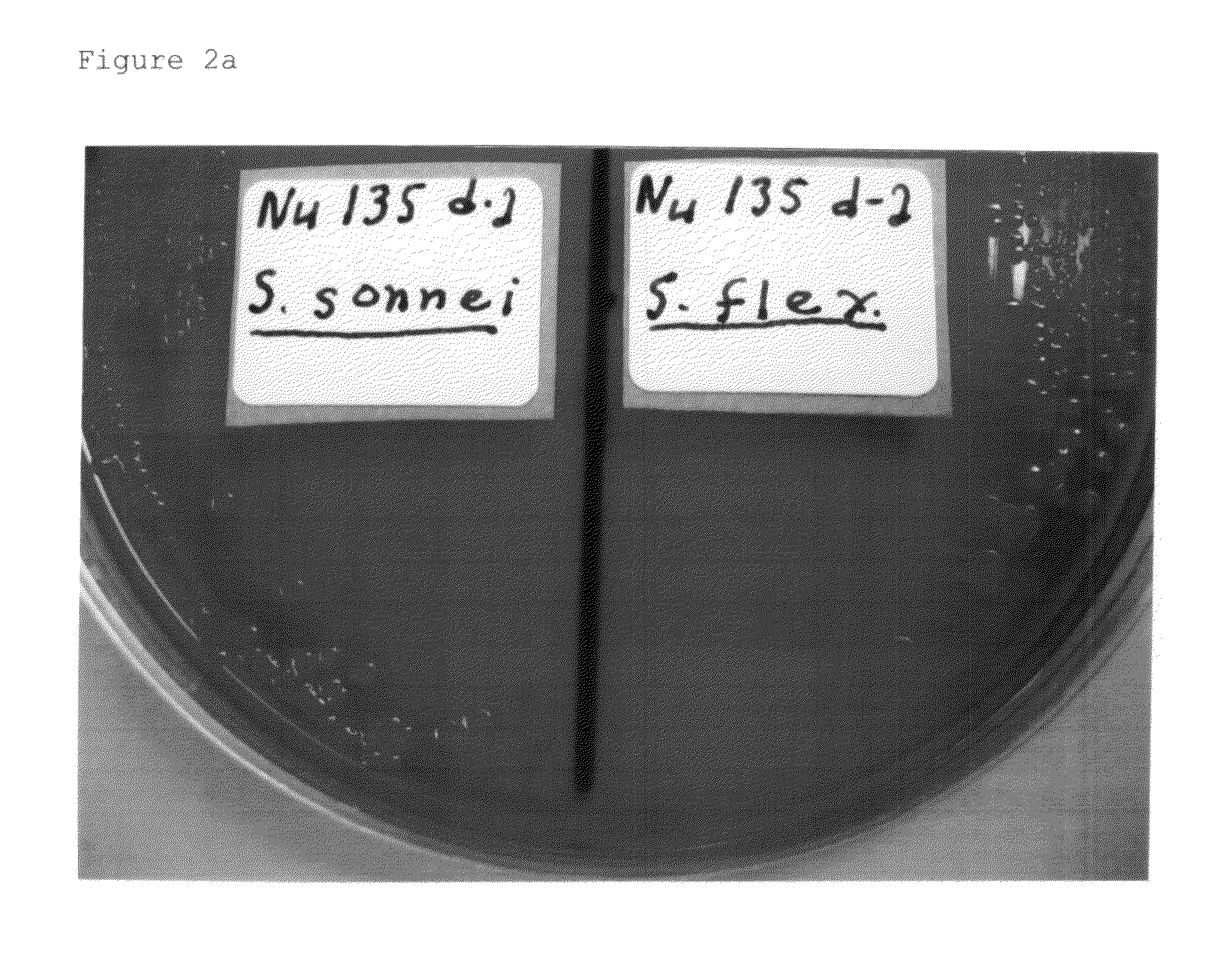 Advanced selective plating media