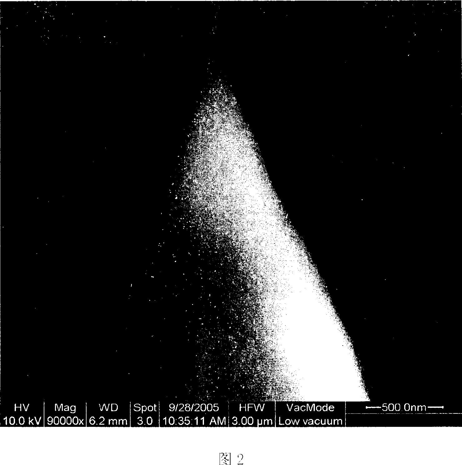 Field optical fibre probe and its production