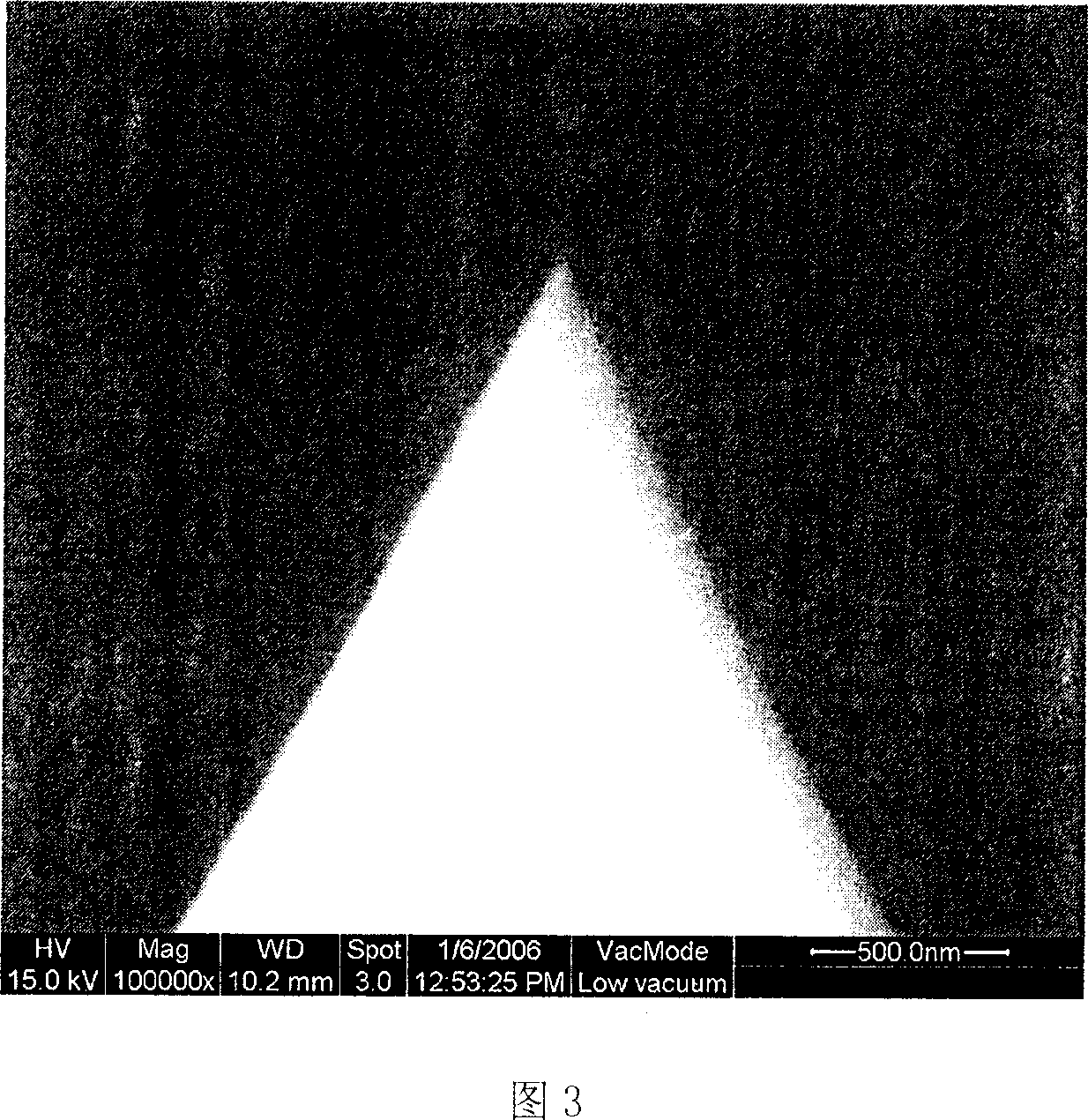 Field optical fibre probe and its production