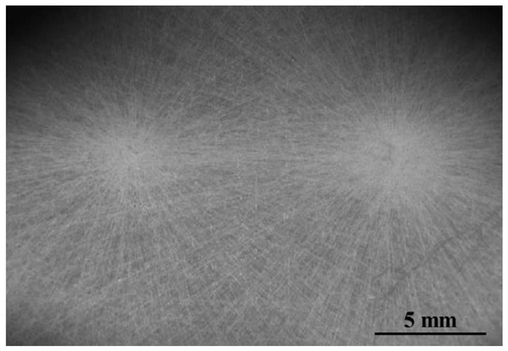 Continuous complementary double-gradient nanofiber biomimetic scaffold, its preparation method and application