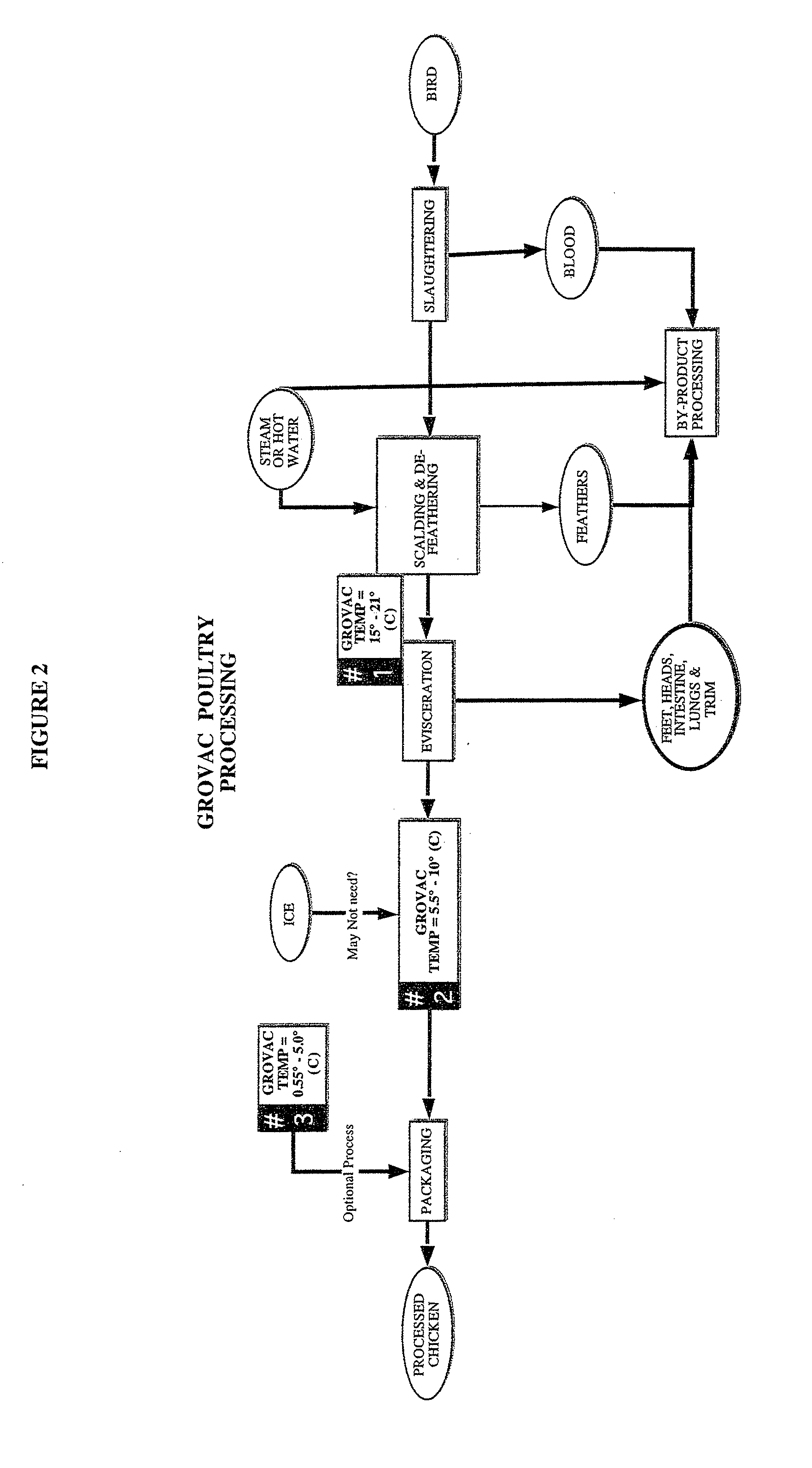 Methods of processing raw foods and related food products