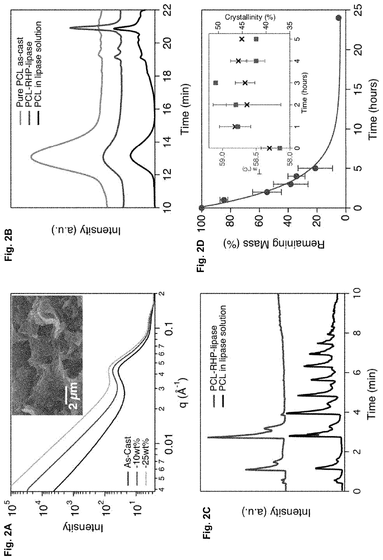 Bioactive Plastics with Programmable Degradation and Microplastic Elimination