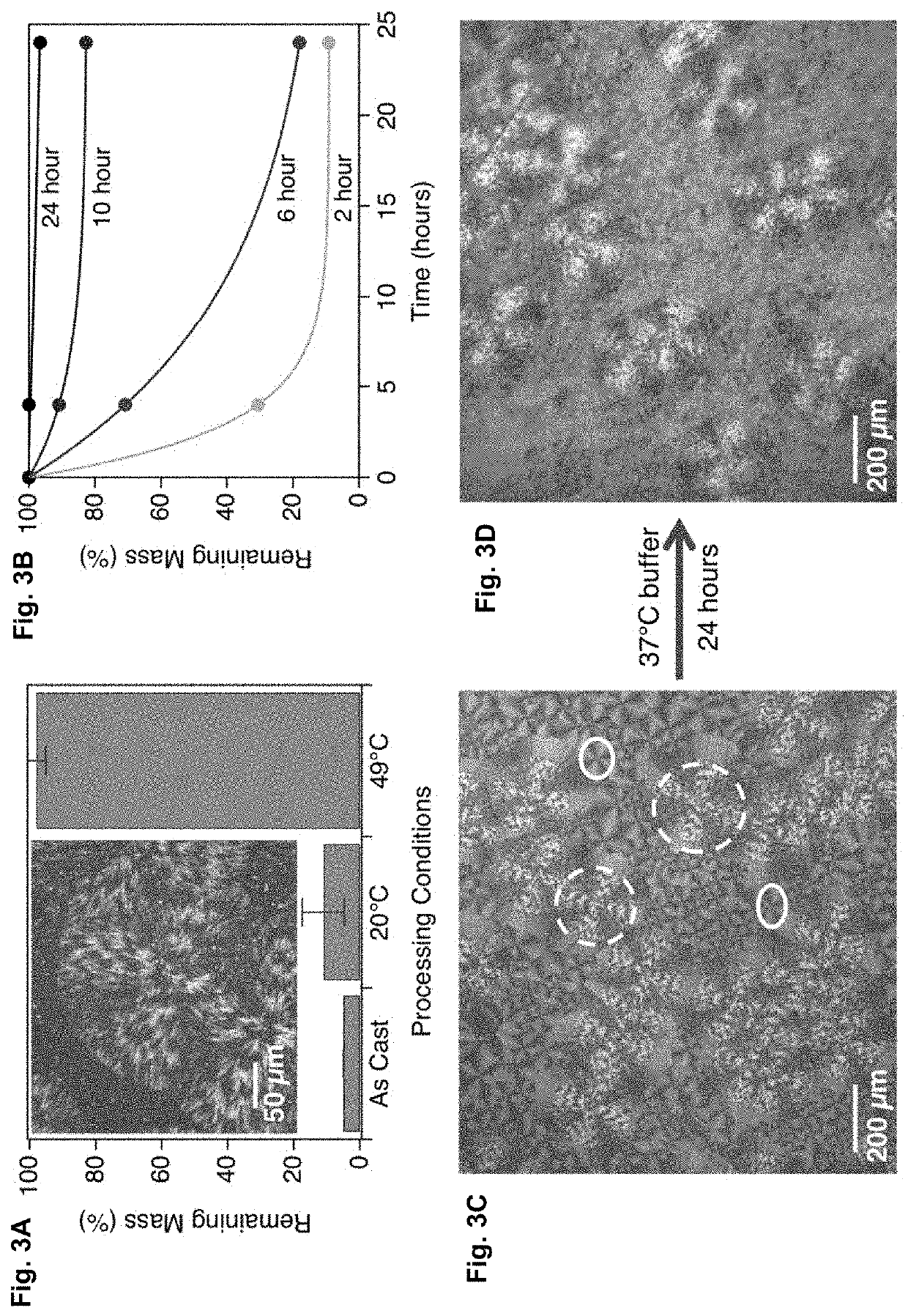 Bioactive Plastics with Programmable Degradation and Microplastic Elimination