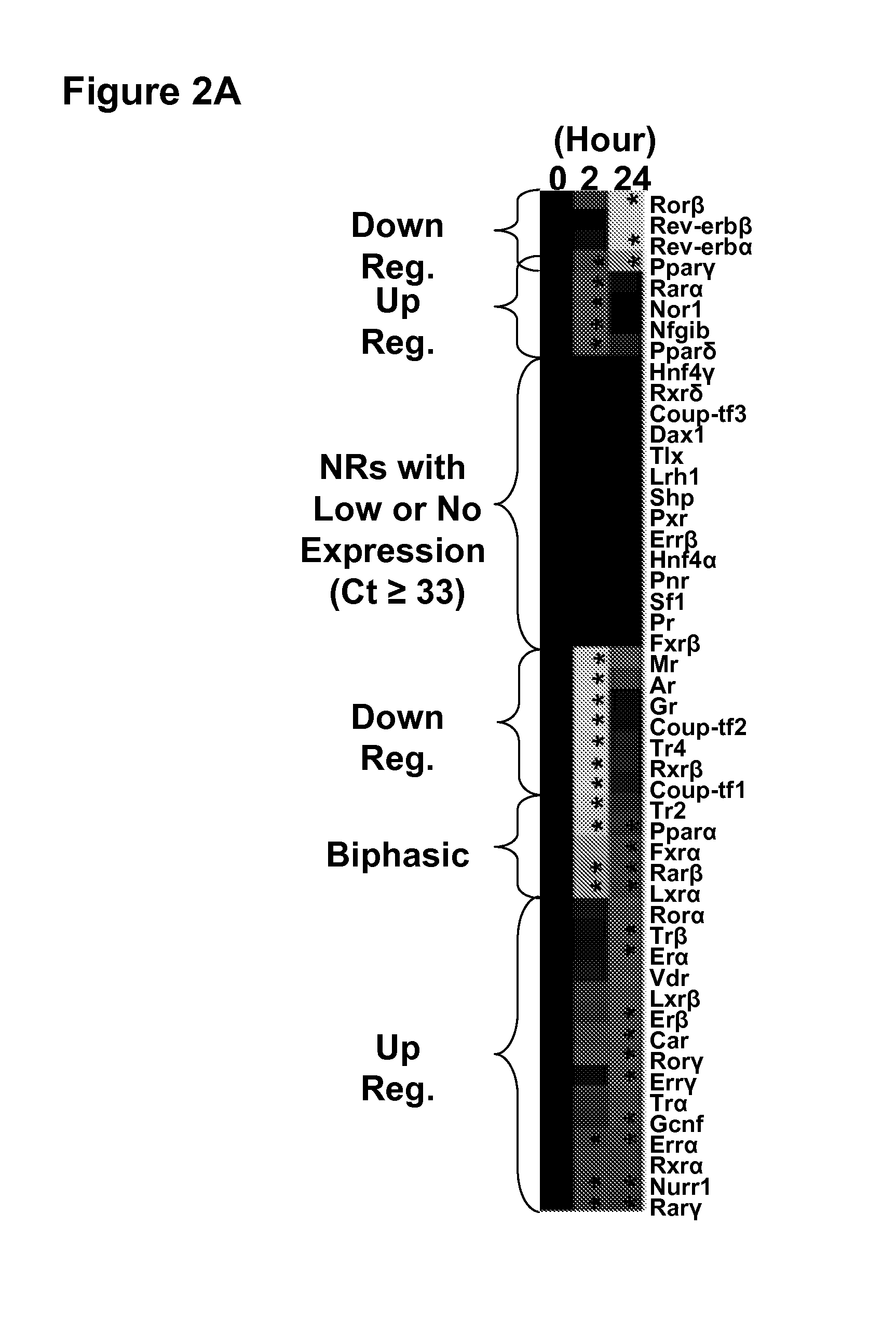 Methods and materials for reducing bone loss