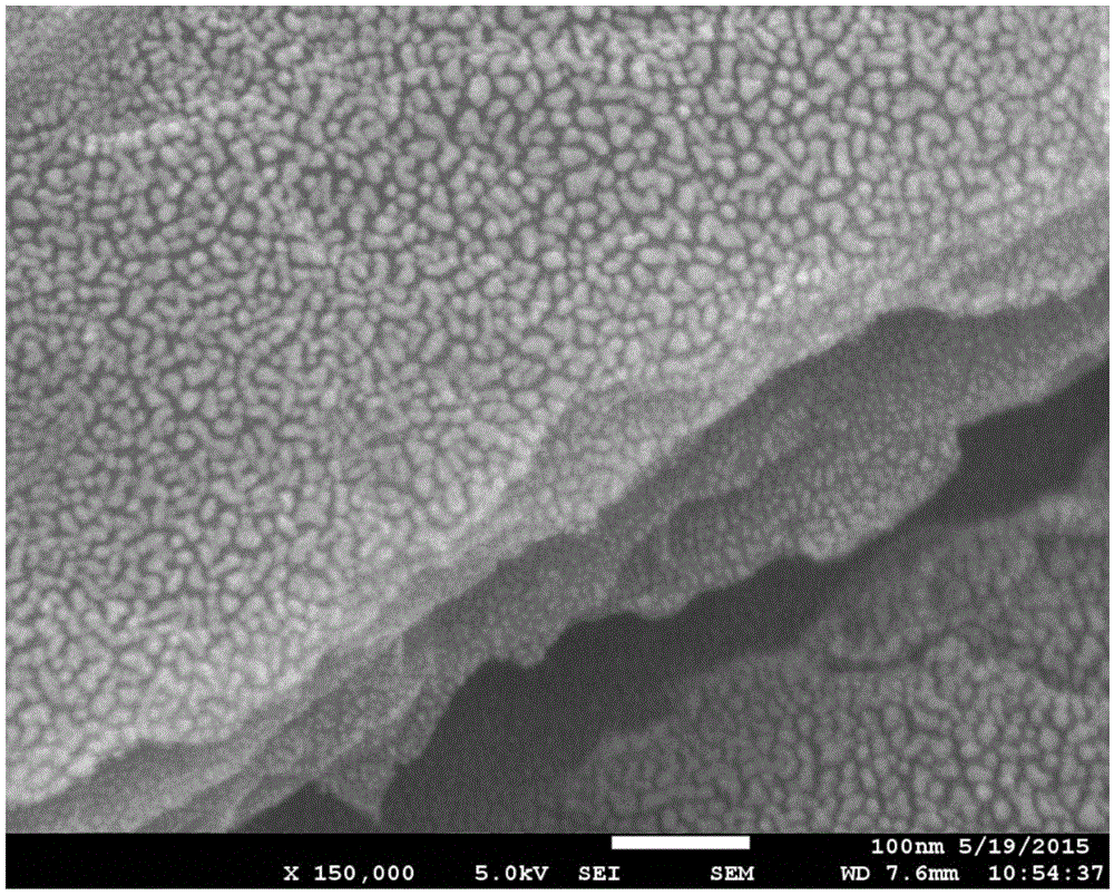 Negative-Poisson ratio multifunctional sponge and preparation method thereof