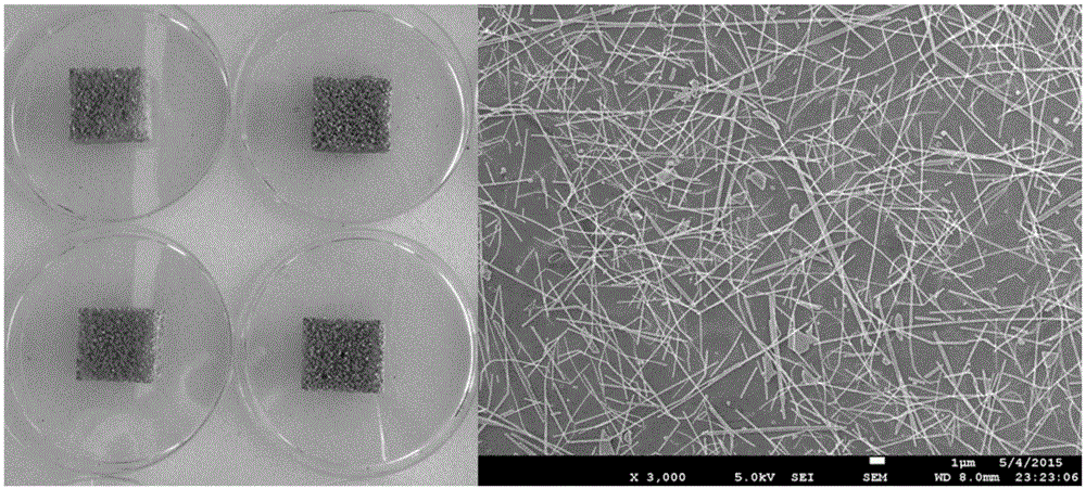 Negative-Poisson ratio multifunctional sponge and preparation method thereof