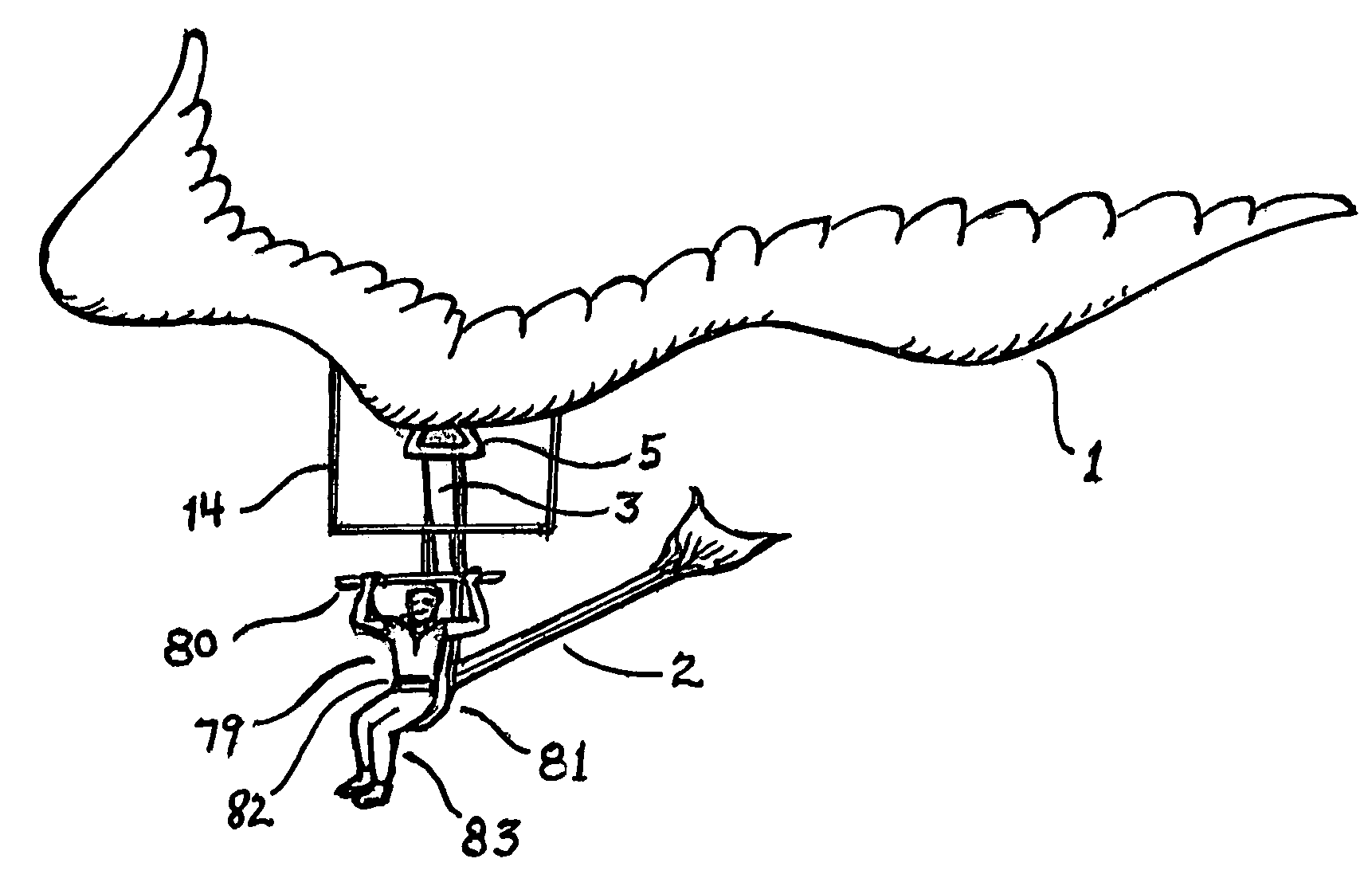 Flying device utilizing natural principles