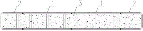 Double-steel-plate shear wall combined structure