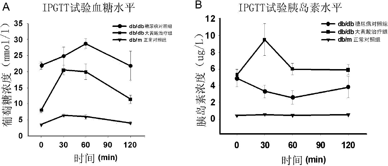 Application of rhein compound or its salt in preparing drugs preventing and curing hypofunction of islet beta cell