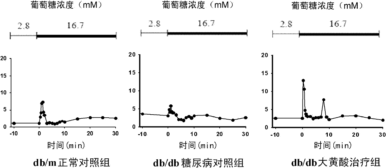 Application of rhein compound or its salt in preparing drugs preventing and curing hypofunction of islet beta cell