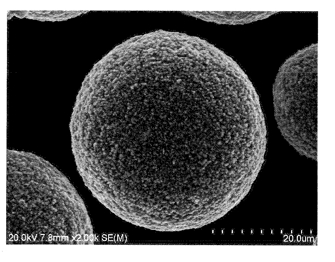 Magnetic carrier for electrophotographic developer and process for producing the same, and two-component system developer