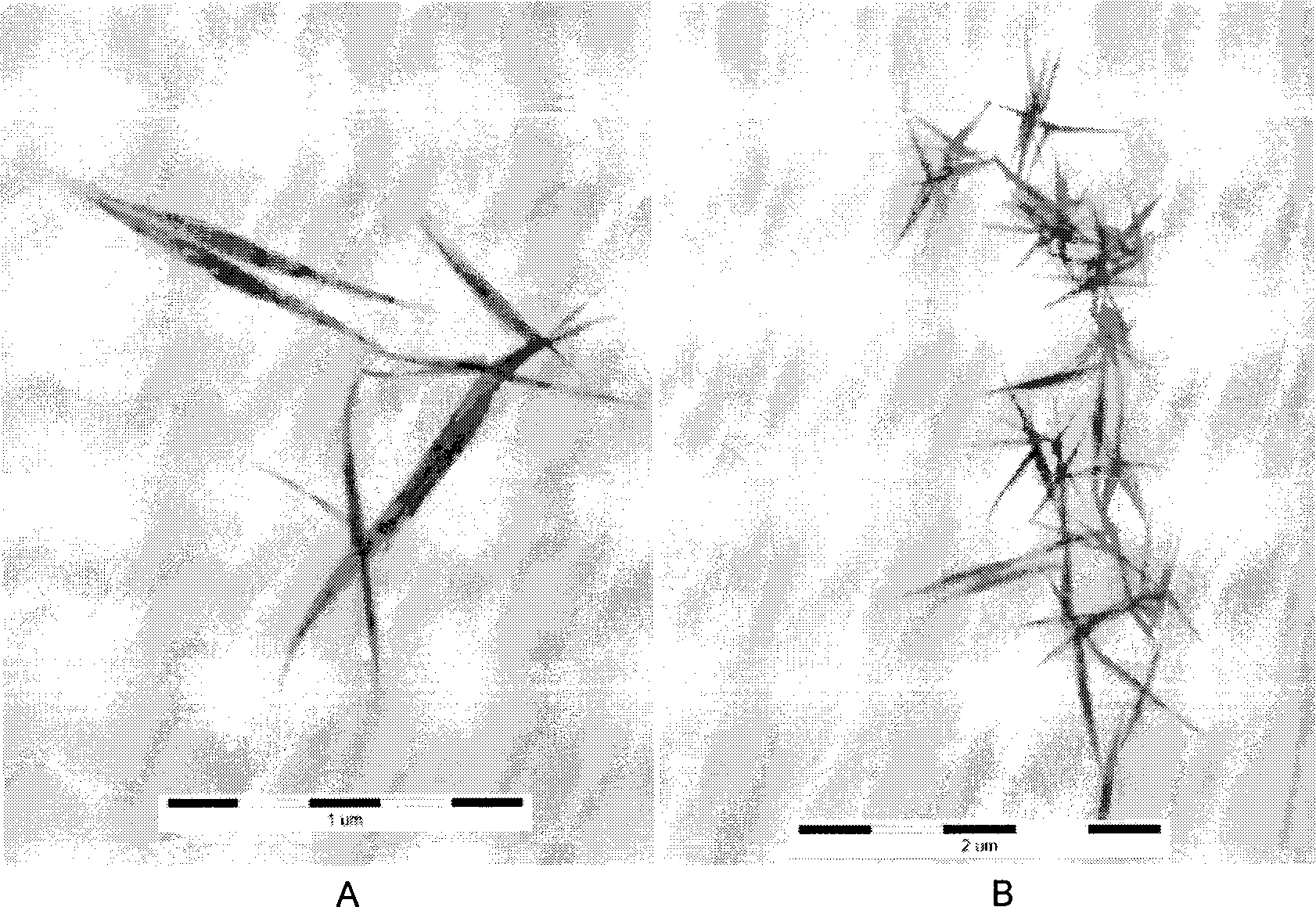 Liquid-phase sugar nano tellurium and preparation method thereof as well as method for storing nano tellurium in liquid phase