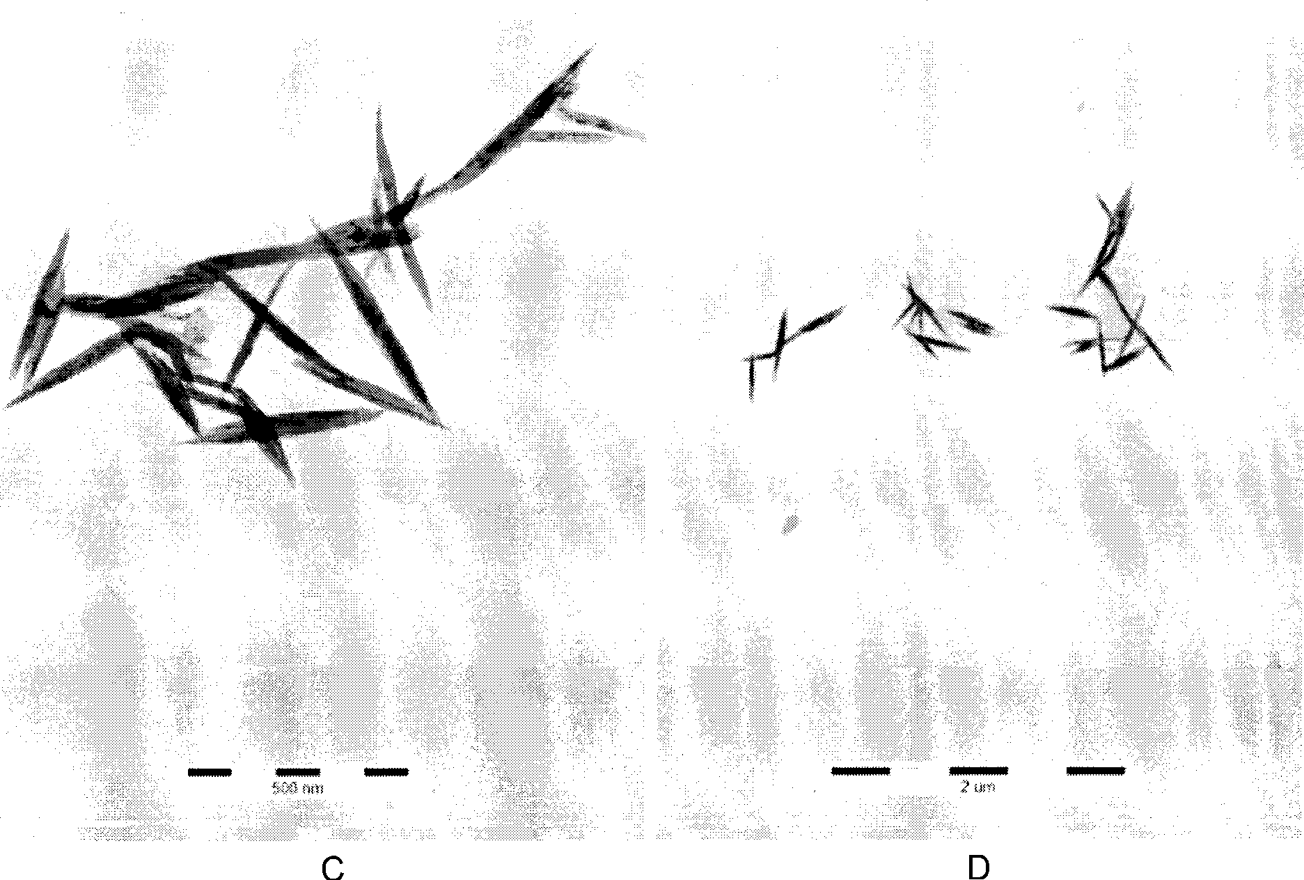 Liquid-phase sugar nano tellurium and preparation method thereof as well as method for storing nano tellurium in liquid phase