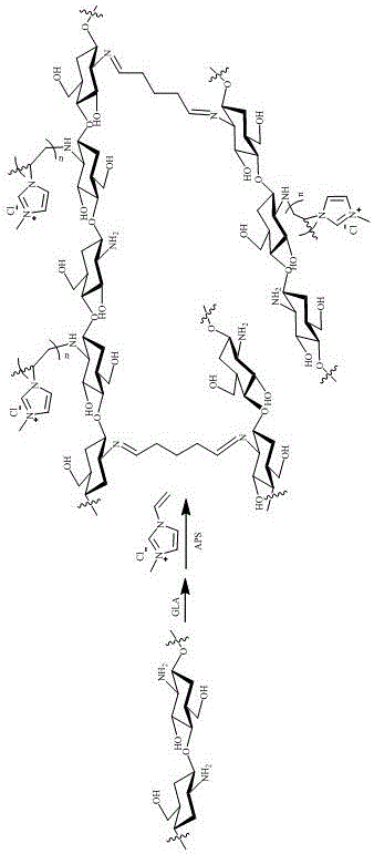 Ionic liquid modified crosslinked porous chitosan adsorbent and preparation method and application thereof